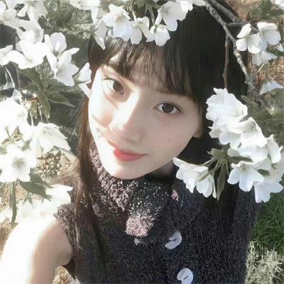 战地情莺